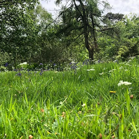 Beautiful Detached Near Coniston - Pass The Keys Dom wakacyjny Torver