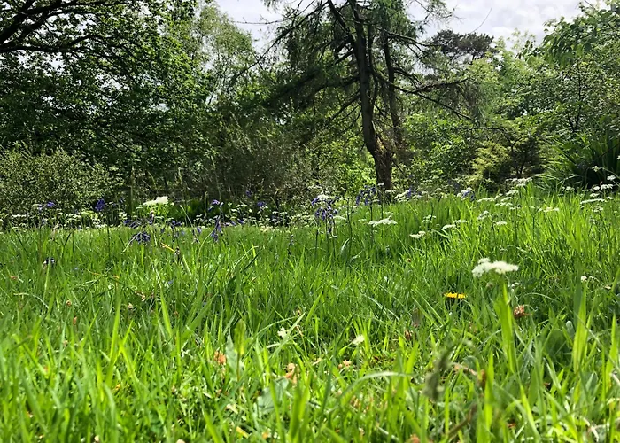 Beautiful Detached Near Coniston - Pass The Keys Holiday home Torver