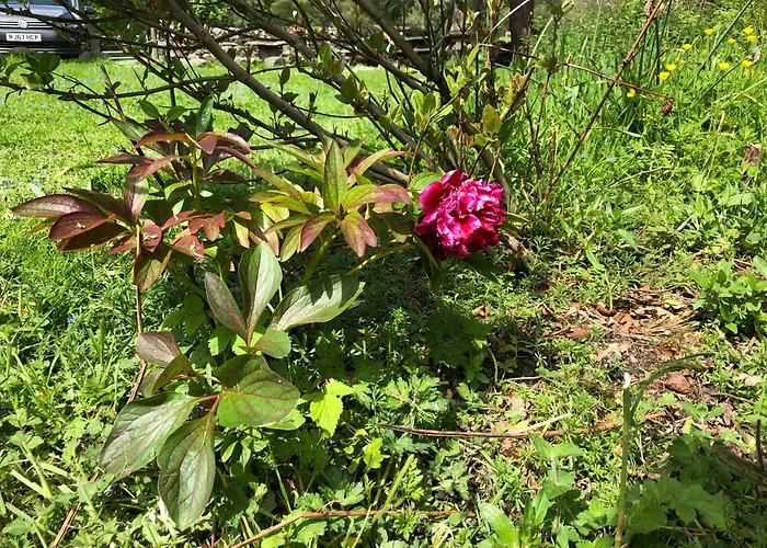 Beautiful Detached Near Coniston - Pass The Keys